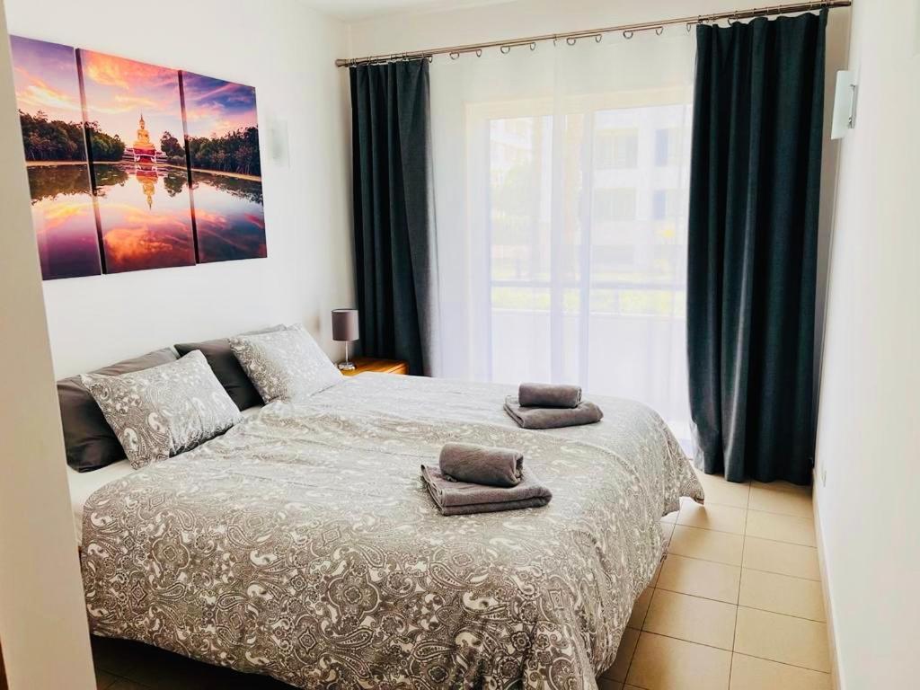 Apartment Angies Marina Apartment, Includes 2 Free Passes For The Marina Pool *